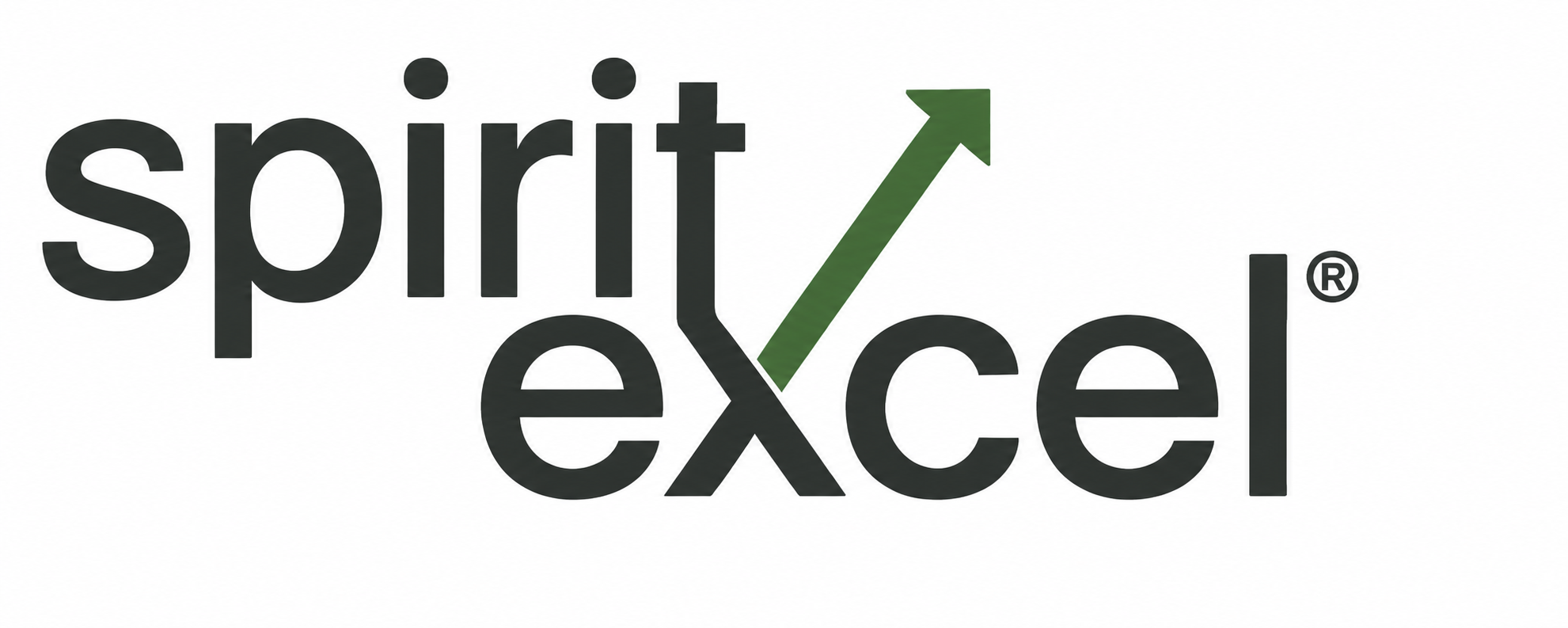 Spirit Excel